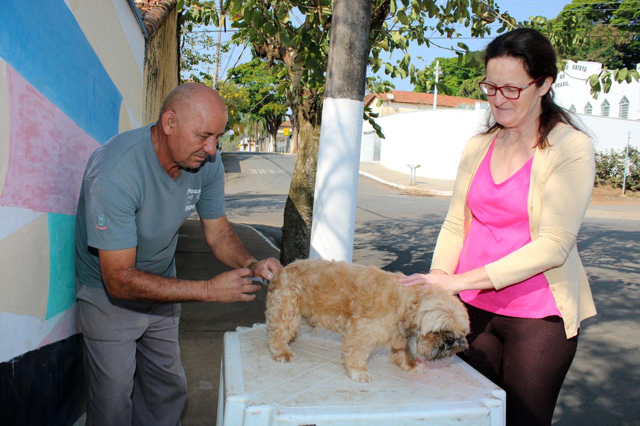 Primeiro dia de vacinação antirrábica na zona rural imuniza 405 animais