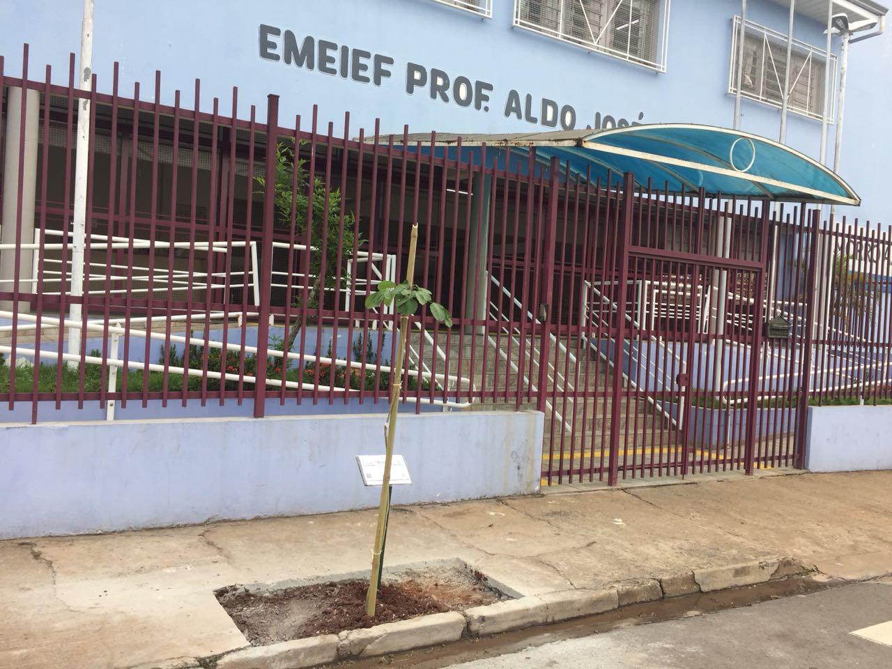 Escola recebe plantio de muda com implantação de “Espaço Árvore”