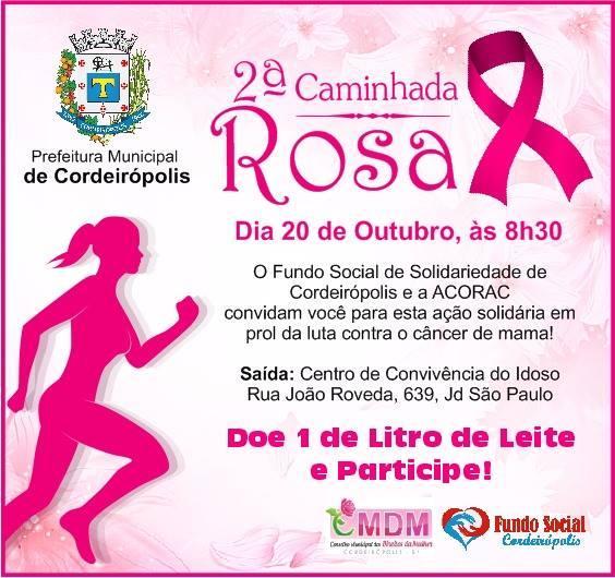 Fundo Social de Solidariedade promoverá 2ª Caminhada do “Outubro Rosa”