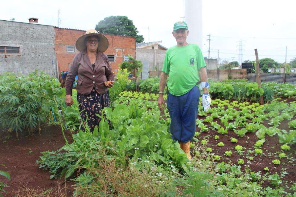 Prefeitura de Cordeirópolis cria projeto que transforma áreas públicas em hortas comunitárias