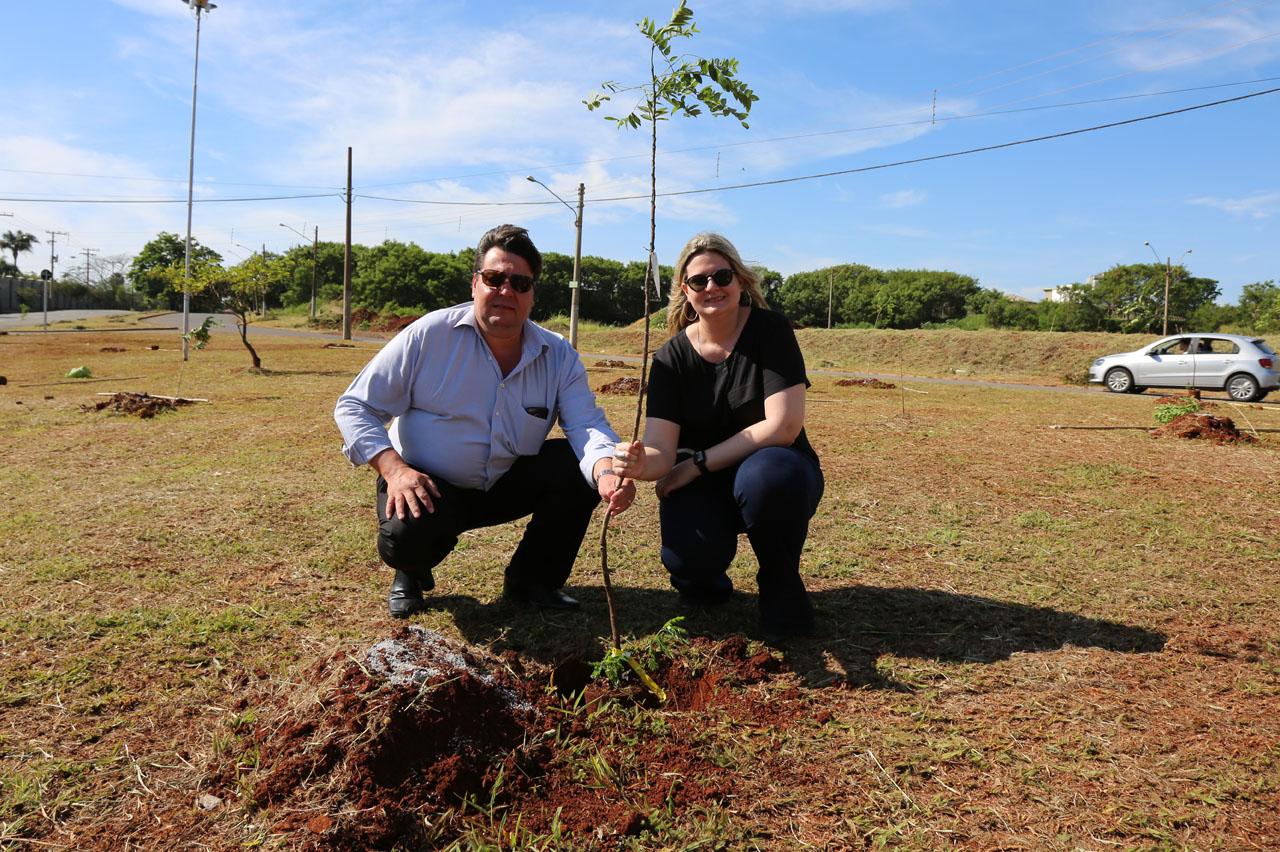 Árvores são plantadas em Limeira para lembrar vítimas de acidentes de trânsito