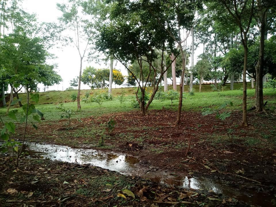 Cordeirópolis ganha menção honrosa com projeto de Educação Ambiental na edição 2018 do “Gota d’Água”
