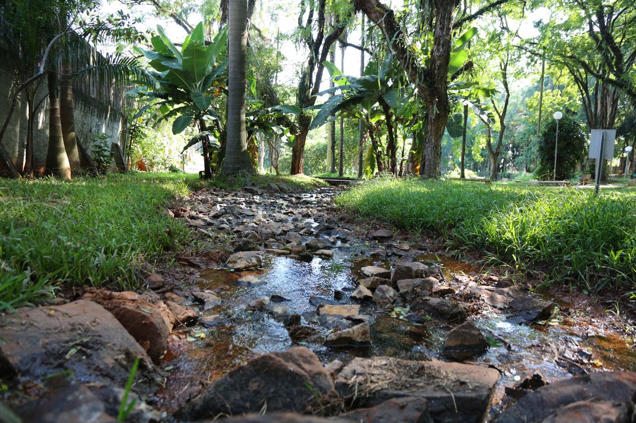 Prefeitura de Limeira desobstrui curso da nascente do Bosque Prefeita Maria Thereza