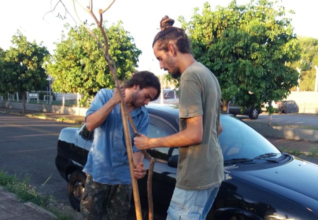 Voluntários contribuem com arborização urbana em Limeira