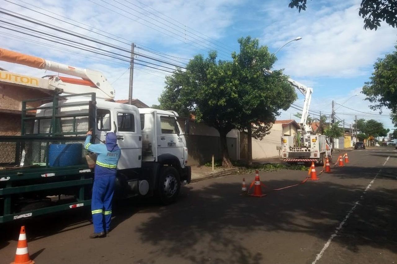 Prefeitura, em parceria com a Elektro, realiza poda de árvores de médio e grande porte