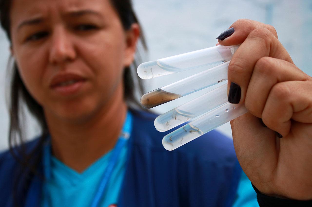 Imóveis com criadouros da dengue mantêm situação de “alerta” em Limeira