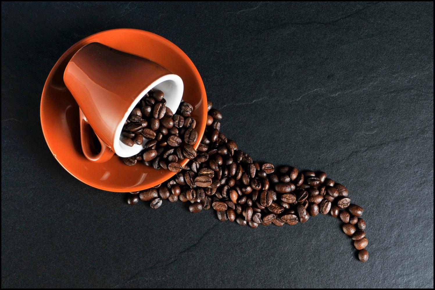 “Conhecendo o Café” segue até agosto, na Gruta da Paz em Limeira