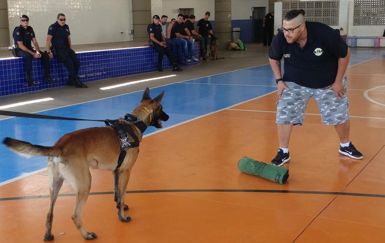 Prefeitura de Limeira promove seminário sobre cães de polícia