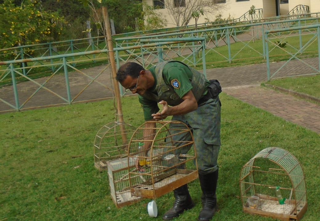 Zoo de Limeira devolve 44 aves à natureza