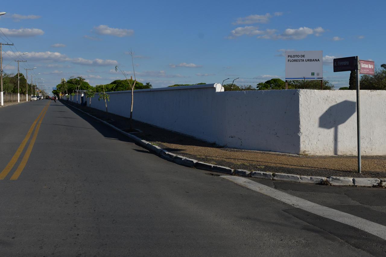 Rua Alberto Ferreira em Limeira recebe Piloto de Floresta Urbana