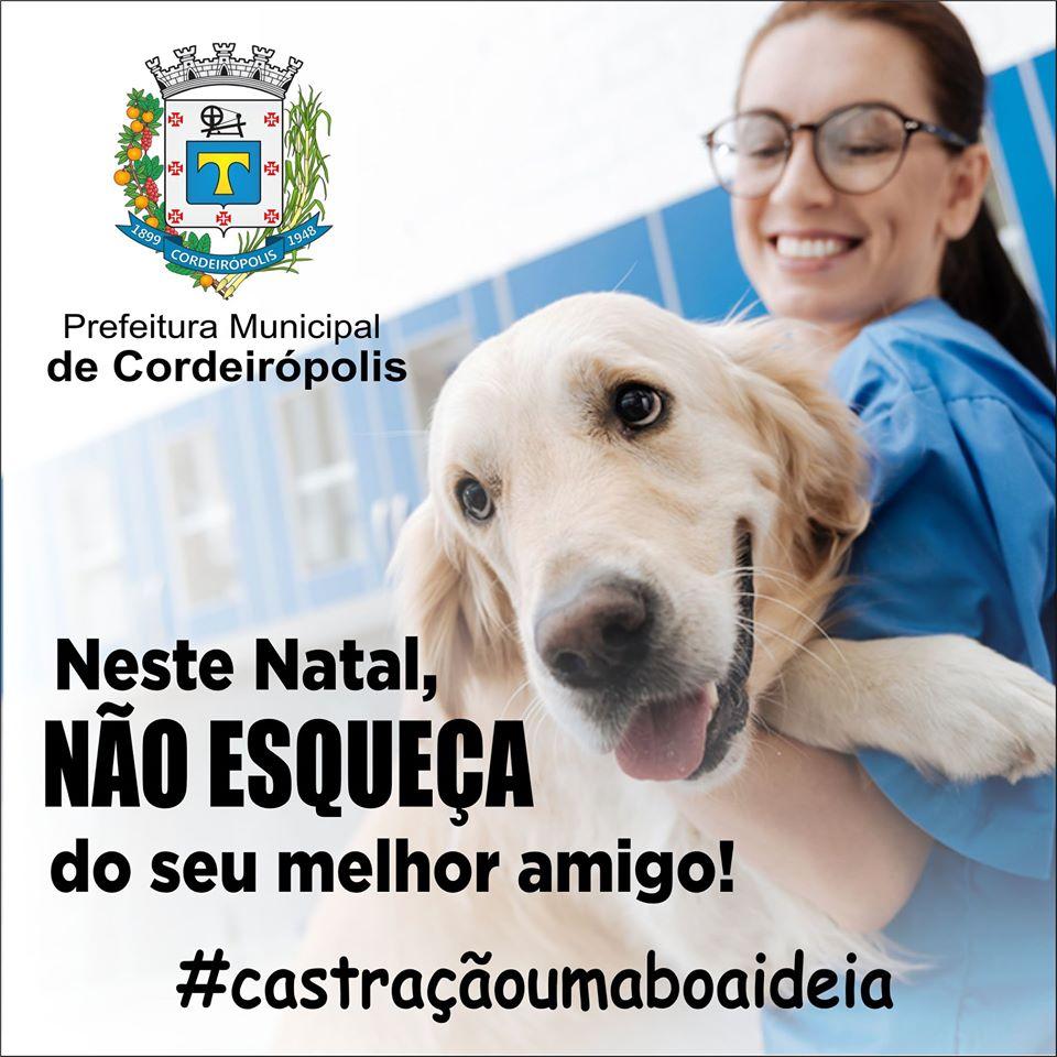 Prefeitura alerta população sobre faltas em consultas agendadas de castração