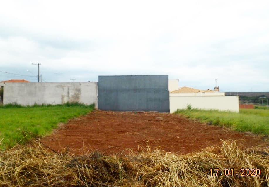 Mais de 200 proprietários de terrenos com mato alto são notificados neste começo de ano