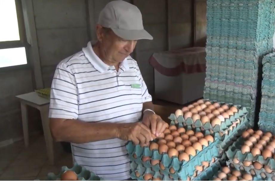 Diversificação é o caminho para que pequenas propriedades garantam maior rentabilidade