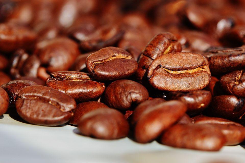 Produtores devem redobrar cuidados para a colheita do café