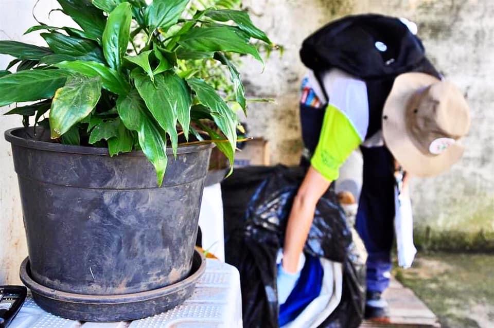 Agentes de saúde comunitária e endemia trabalham para conscientizar população sobre a dengue