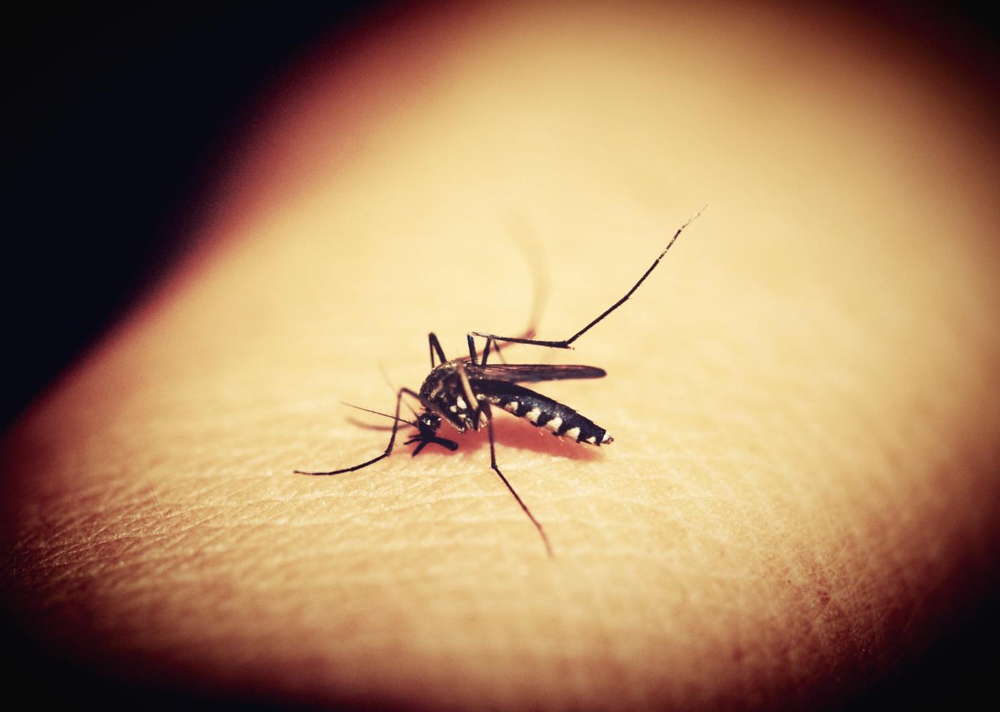 Secretaria de Saúde de Limeira confirma morte por dengue