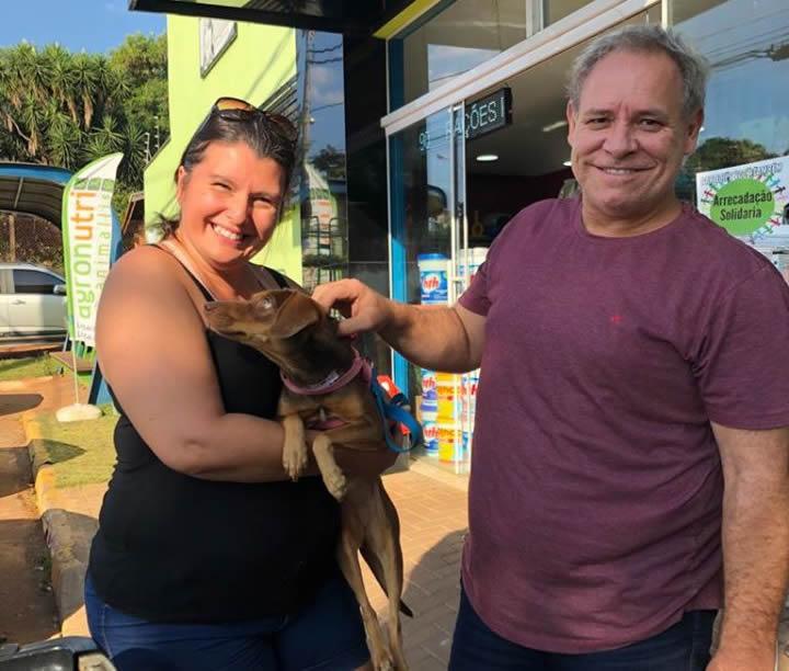 Solidariedade durante a pandemia aumenta a procura pela adoção de animais em Cordeirópolis