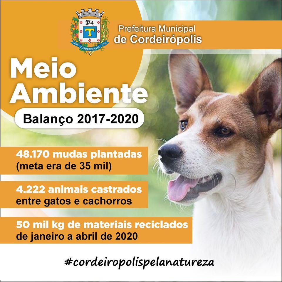 Meio Ambiente divulga balanço das atividades de janeiro a abril