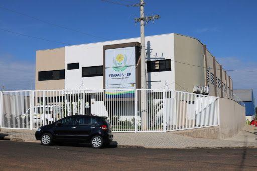 FEAPAES-SP comemora 27 anos de muitas conquistas para movimento apaeano paulista