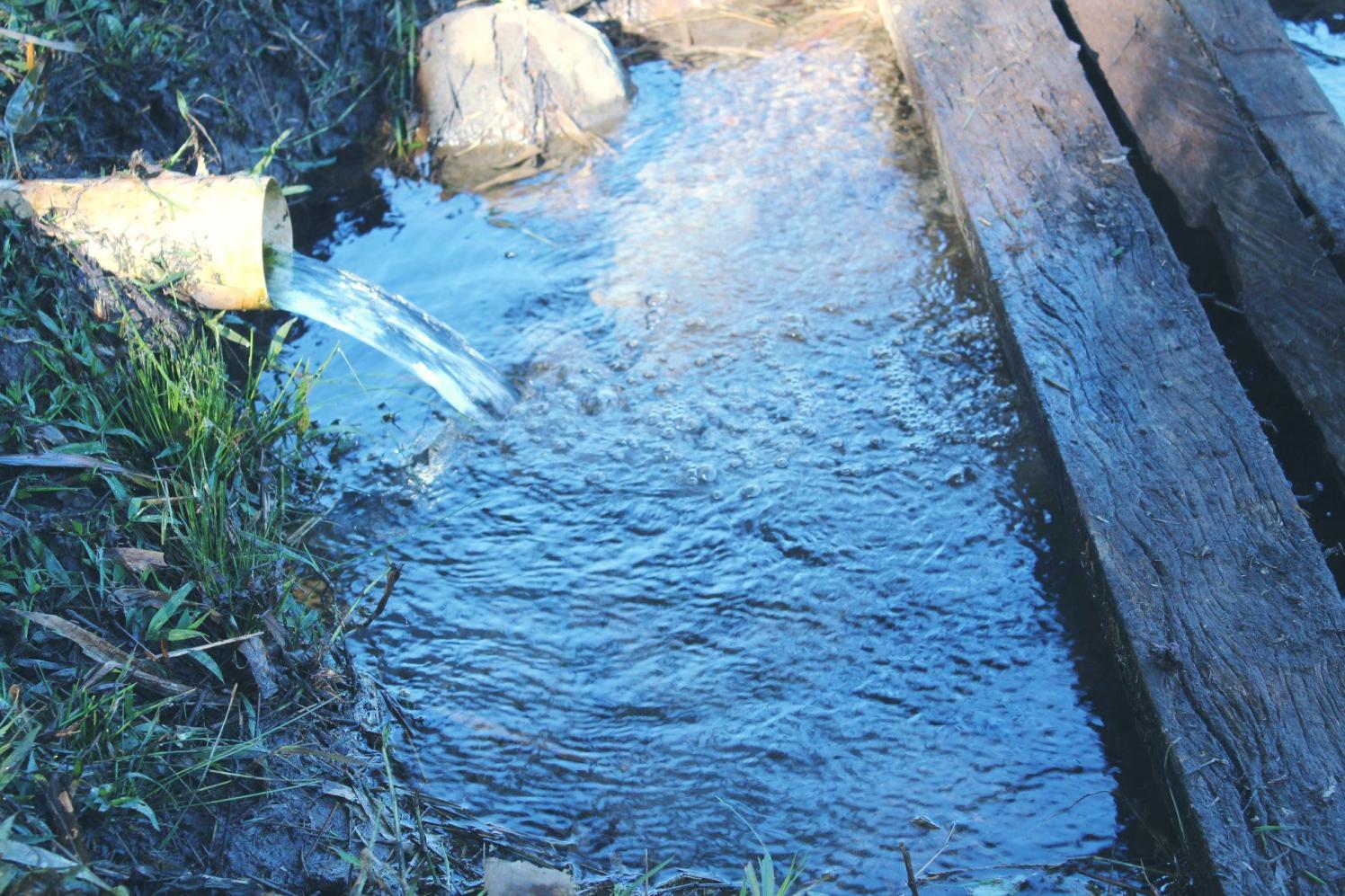 Programas de sustentabilidade reforçam a causa ambiental em Cordeirópolis