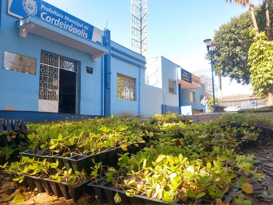 Secretaria de Serviços Públicos inicia revitalização do Paço Municipal de Cordeirópolis