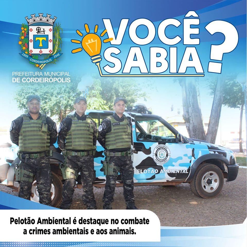 Pelotão Ambiental de Cordeirópolis é destaque no combate a crimes ambientais e aos animais
