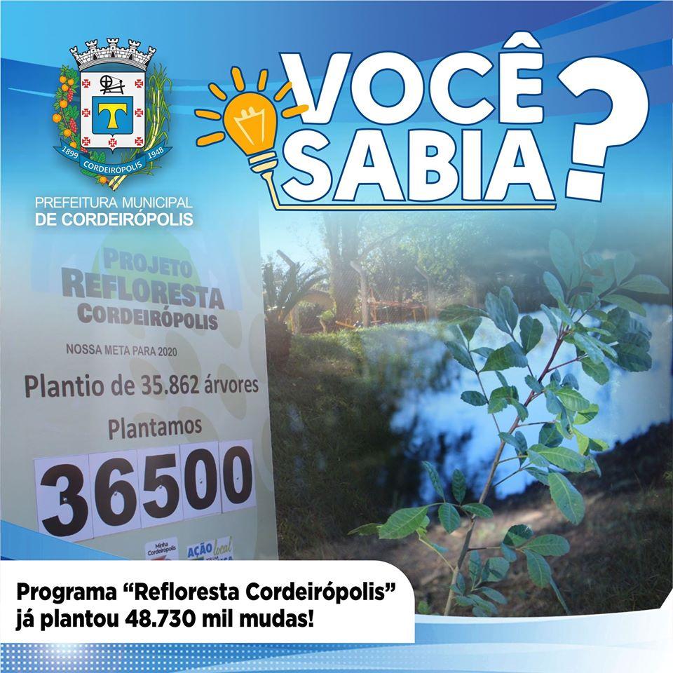 Programa “Refloresta Cordeirópolis” já plantou mais de 48 mil mudas