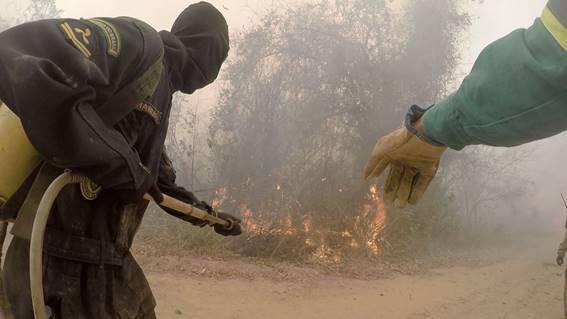 CNN faz expedição pelo Pantanal e revela a rotina dos brigadistas que tentam salvar a região