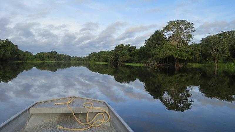 Legislação Ambiental X Proteção ao Meio Ambiente