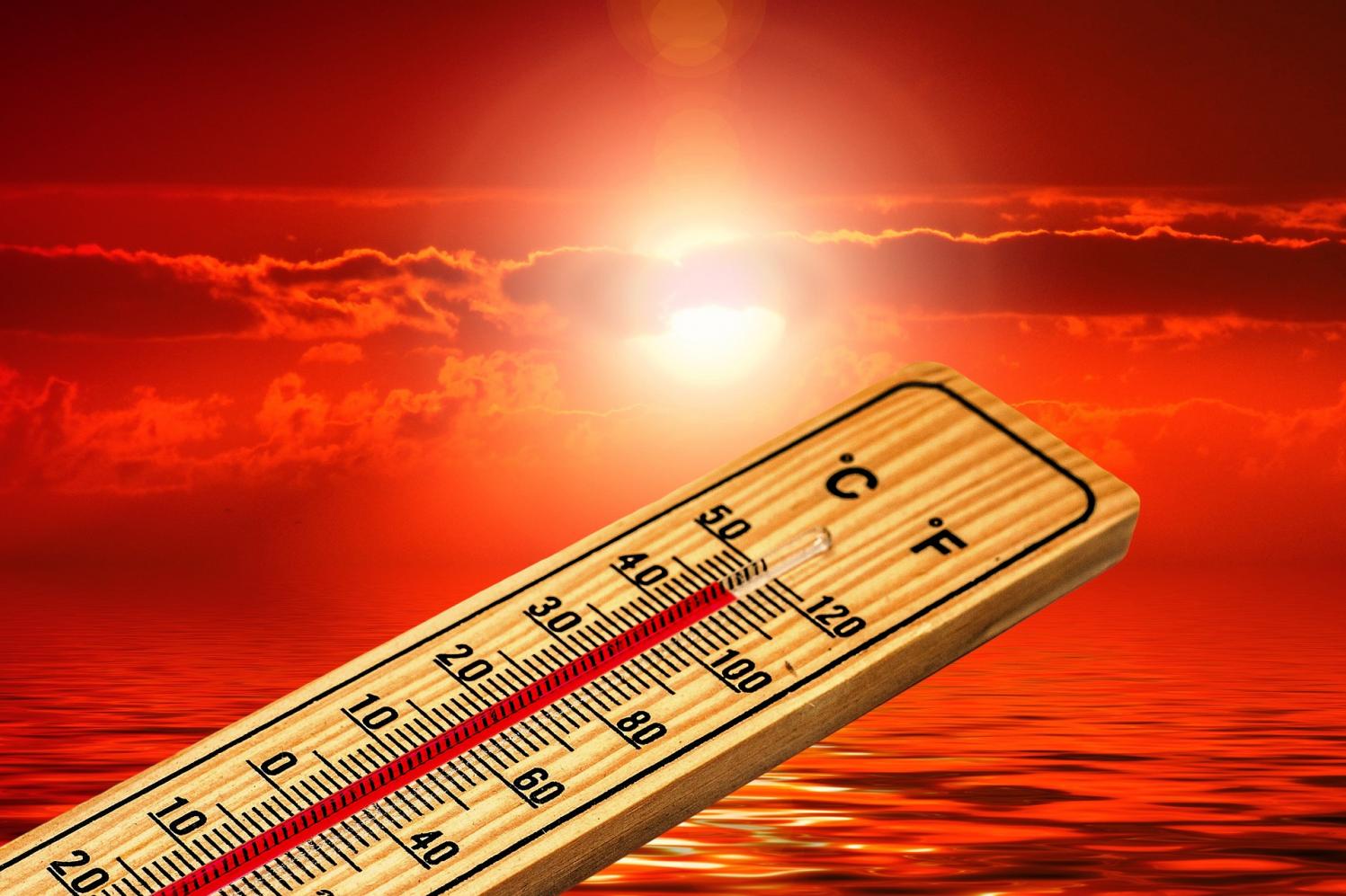 Planeta teve 2º novembro mais quente da história em 2020