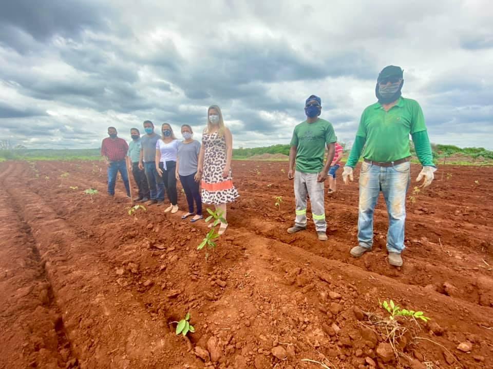 Plantio de mudas homenageia 288 crianças nascidas em 2020 na cidade