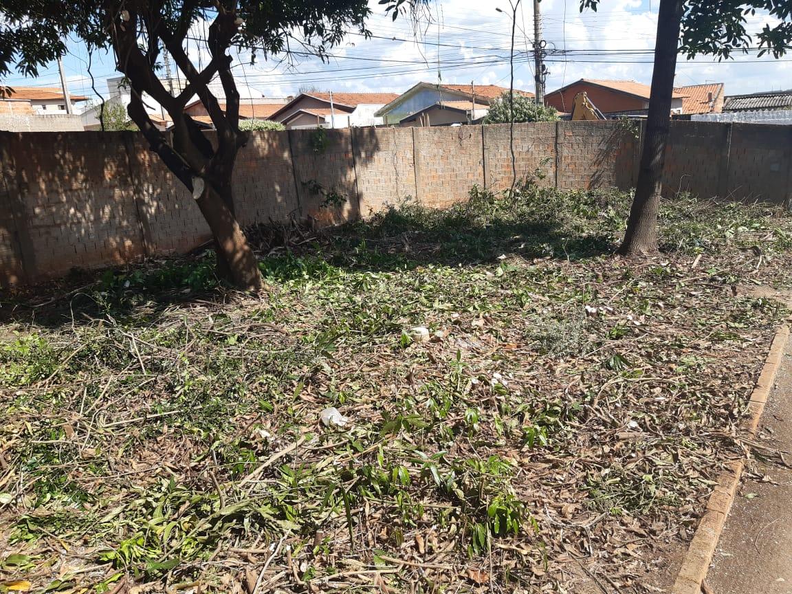 Força-tarefa retira oito caminhões de inservíveis de casa no Anavec em Limeira