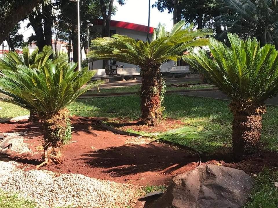 Praça Central de Cordeirópolis recebe novo plantio
