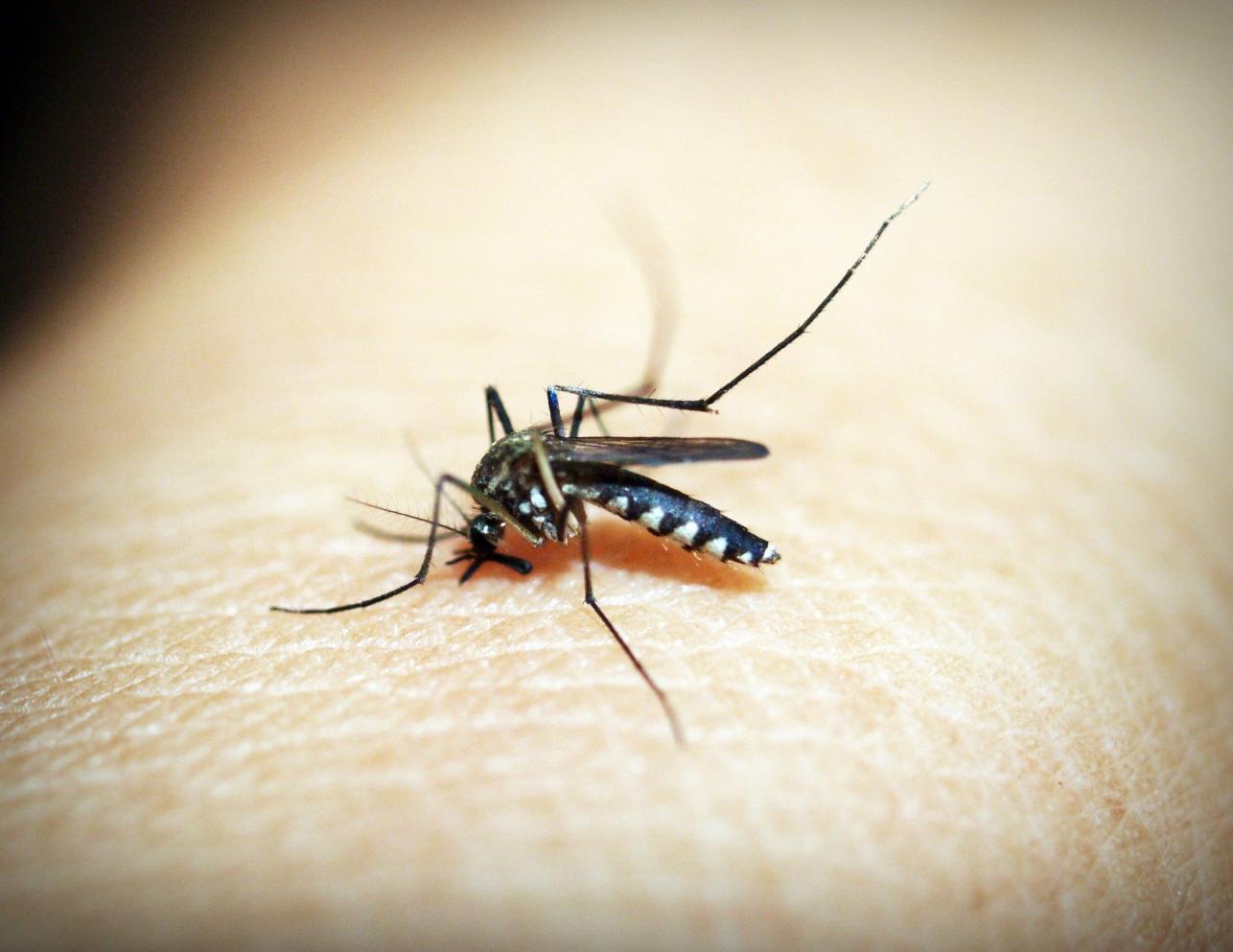 Prefeitura emite alerta para bairros mais afetados pela dengue em Cordeirópolis