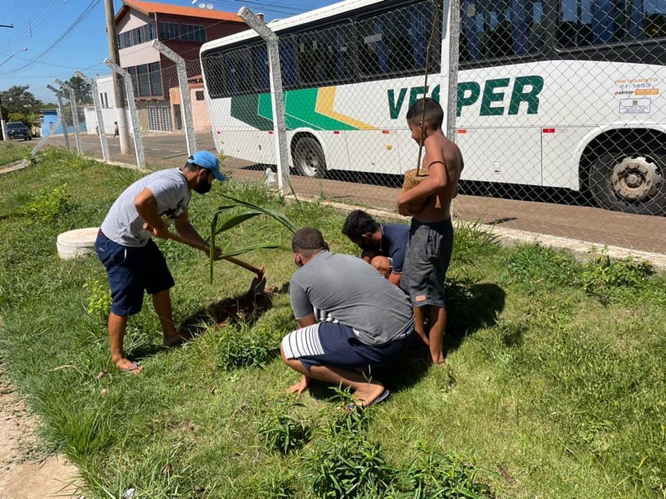 Centro Esportivo do Jardim Eldorado em Cordeirópolis recebe plantio de árvores