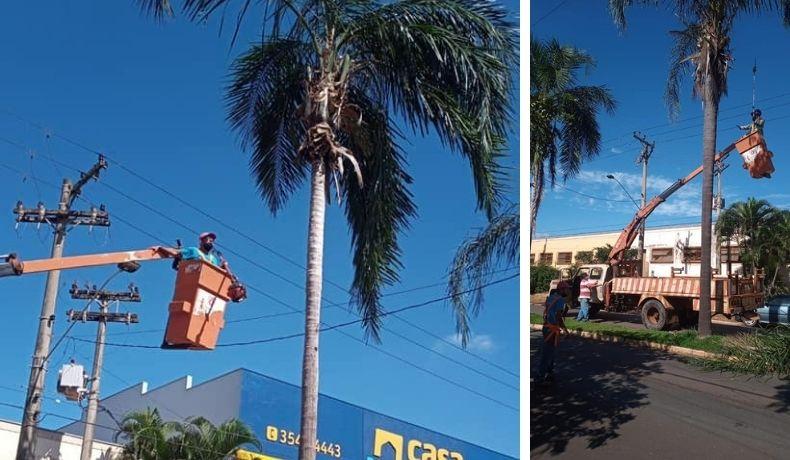 Manutenção na Avenida Presidente Vargas em Cordeirópolis