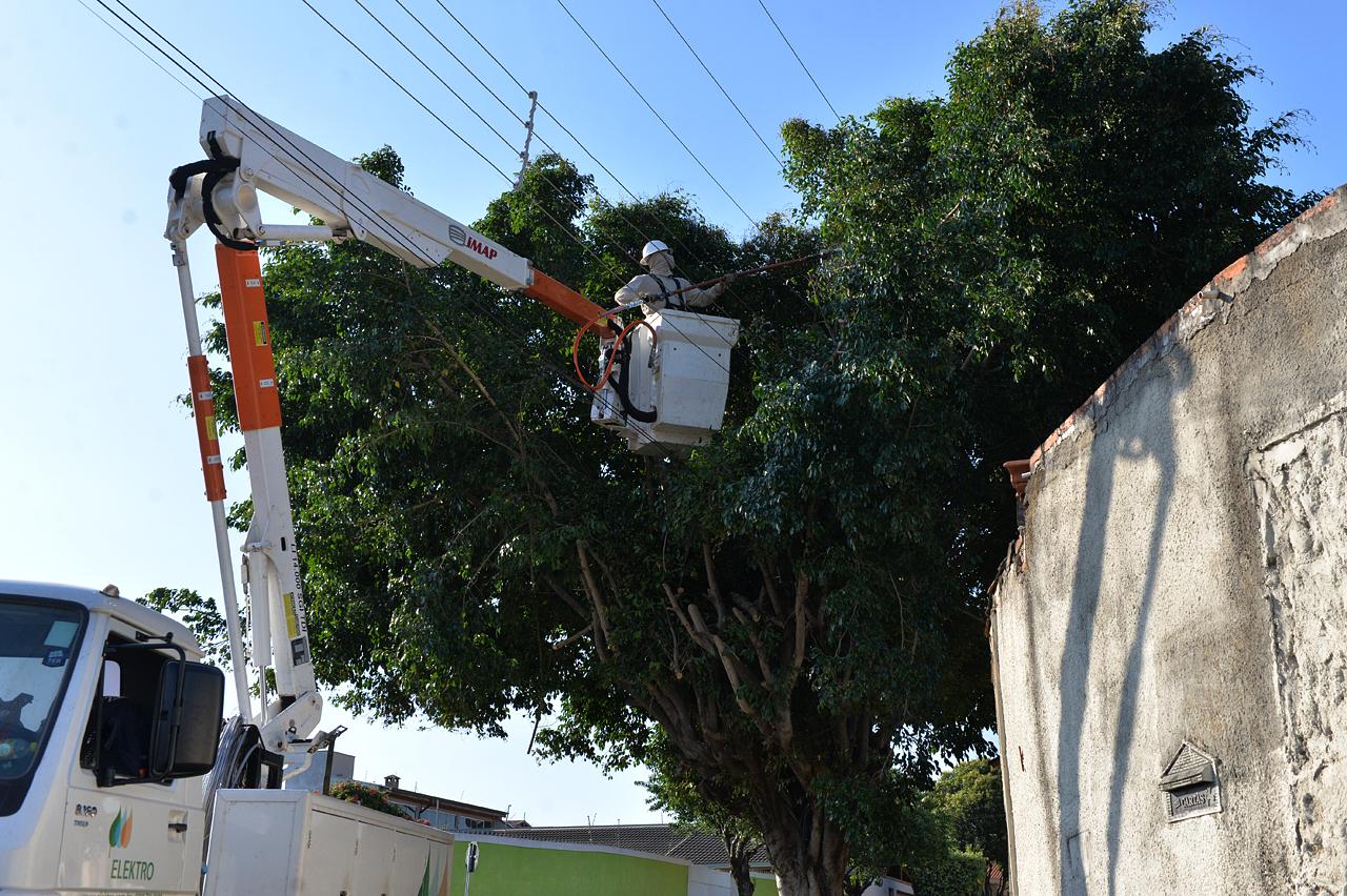 Parceria entre Prefeitura de Limeira e Elektro realiza poda em mais de 500 árvores