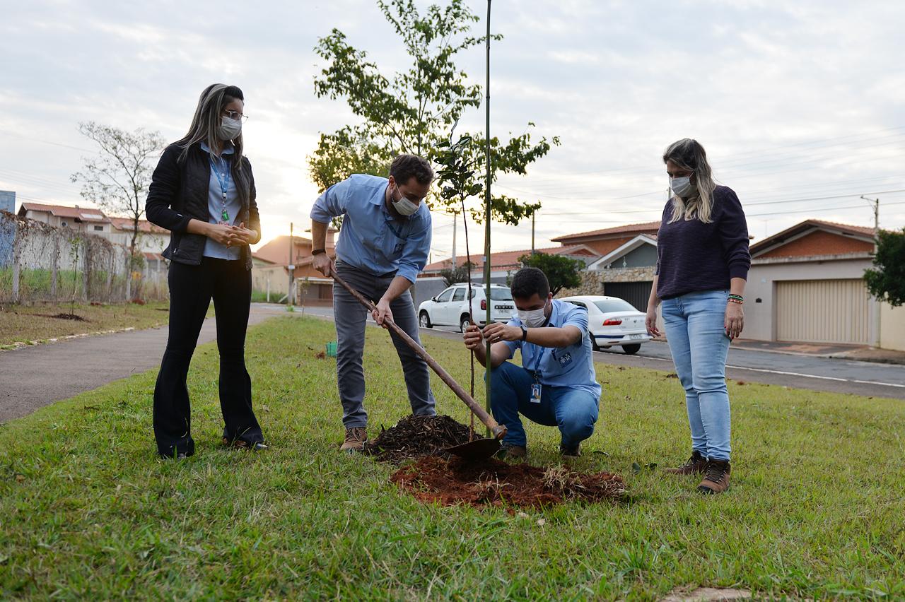 Prefeitura e Santa Casa de Limeira realizam plantio de mudas