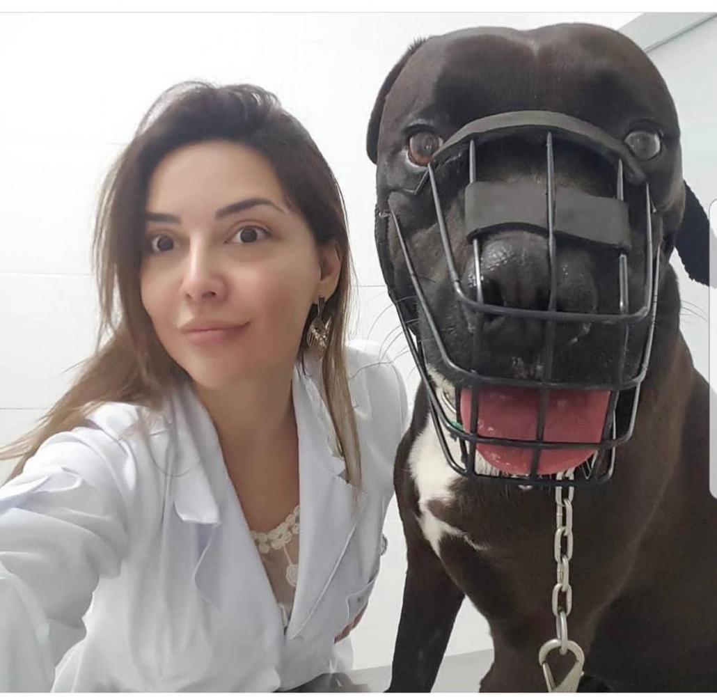 O que fazer quando seu pet dá trabalho durante a pandemia?