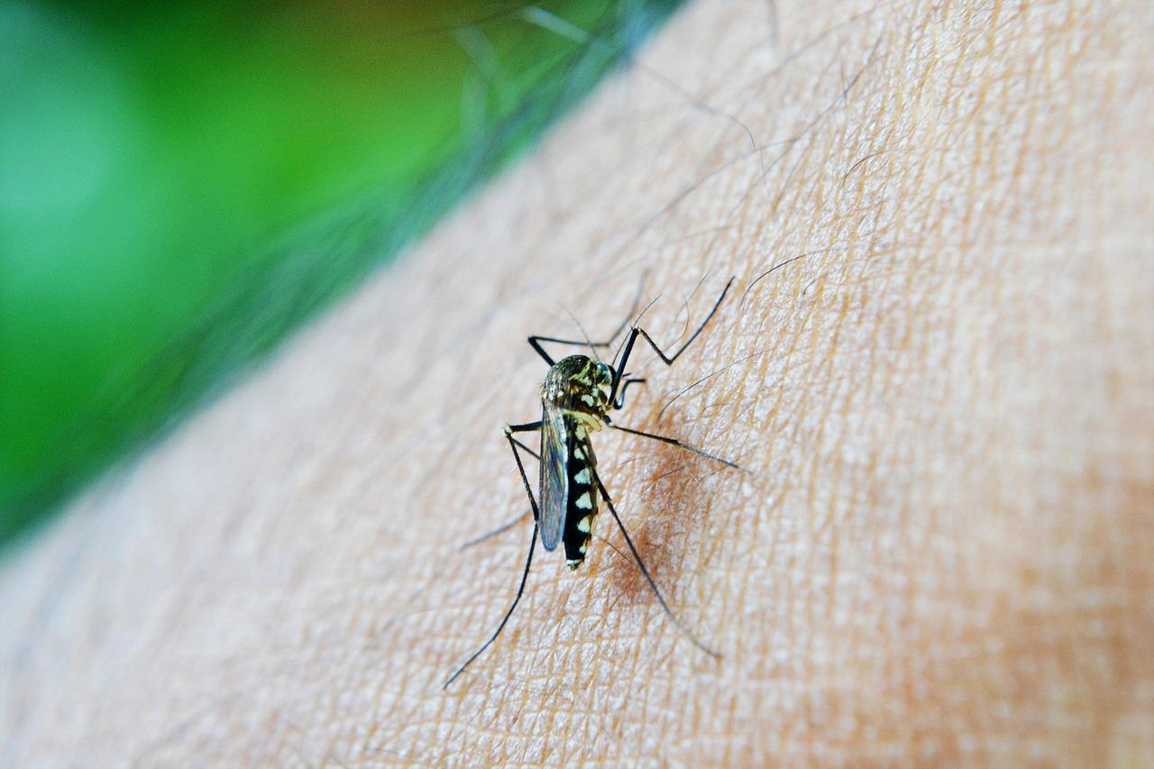 Mutirão contra dengue percorre região do Vitório Lucato neste sábado (3)