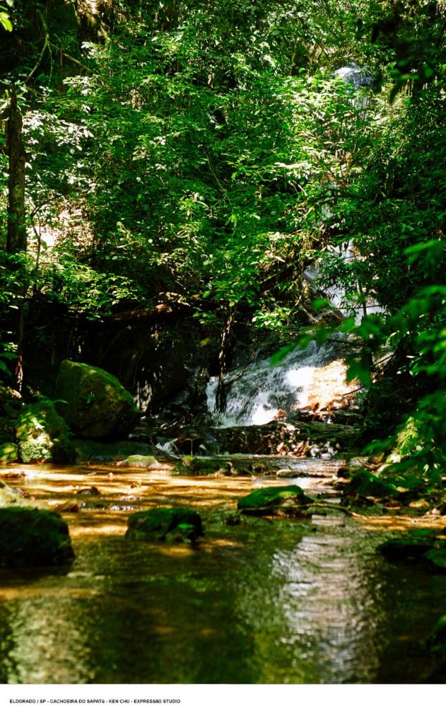 Feriado estadual e vacinas impactam as viagens    