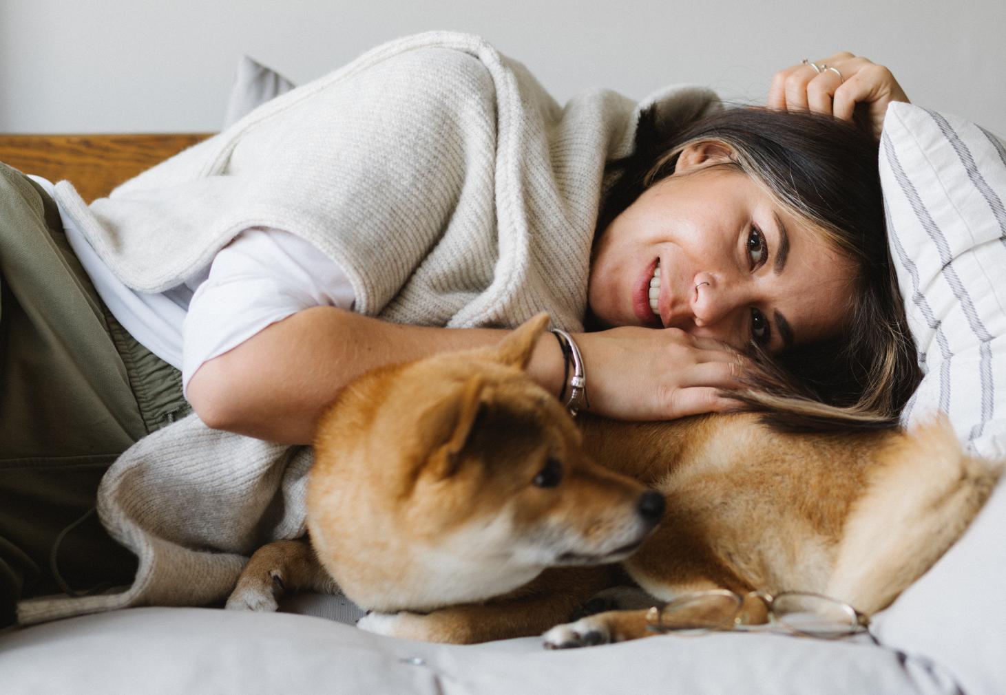 Confira como proteger animais de estimação do frio