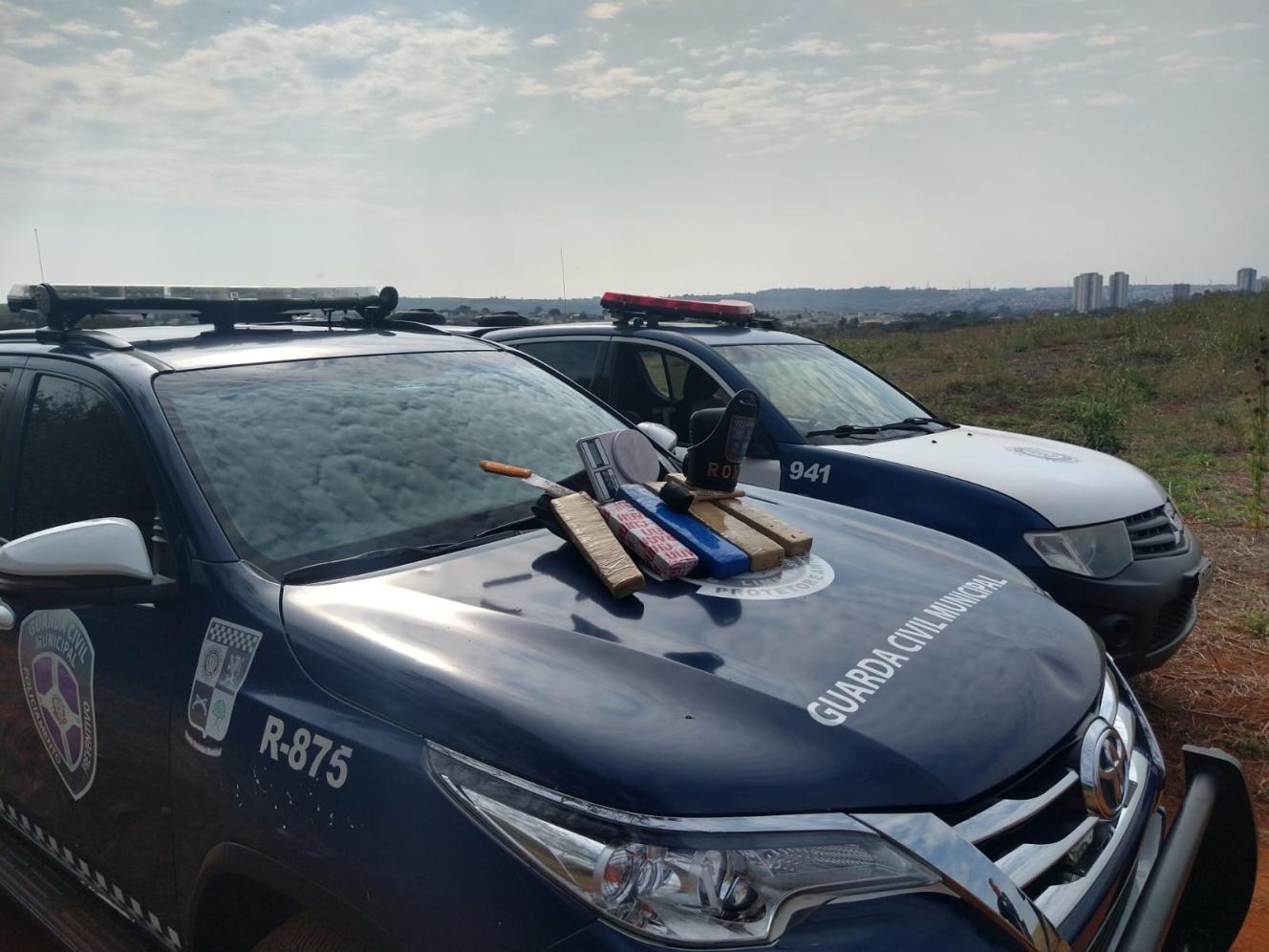 GCM localiza maconha em área verde de Limeira