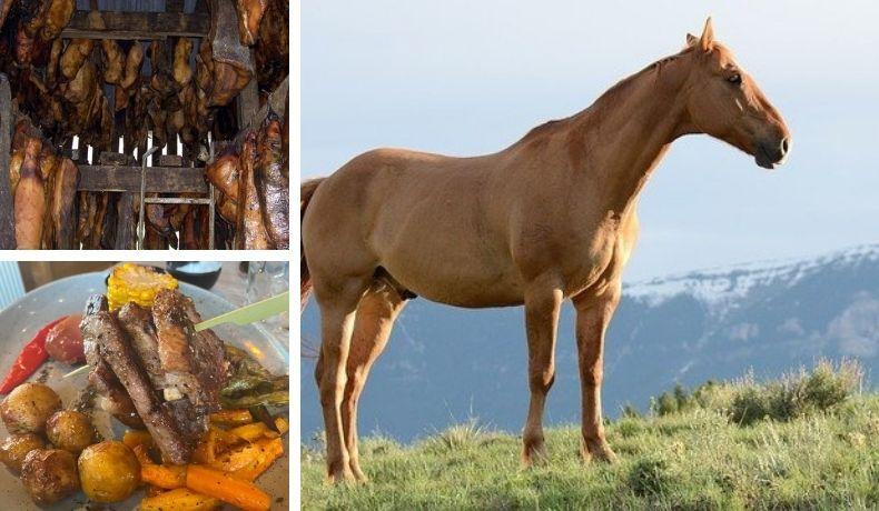 Tubarão podre e carne de cavalo: conheça quatro iguarias típicas da Islândia
