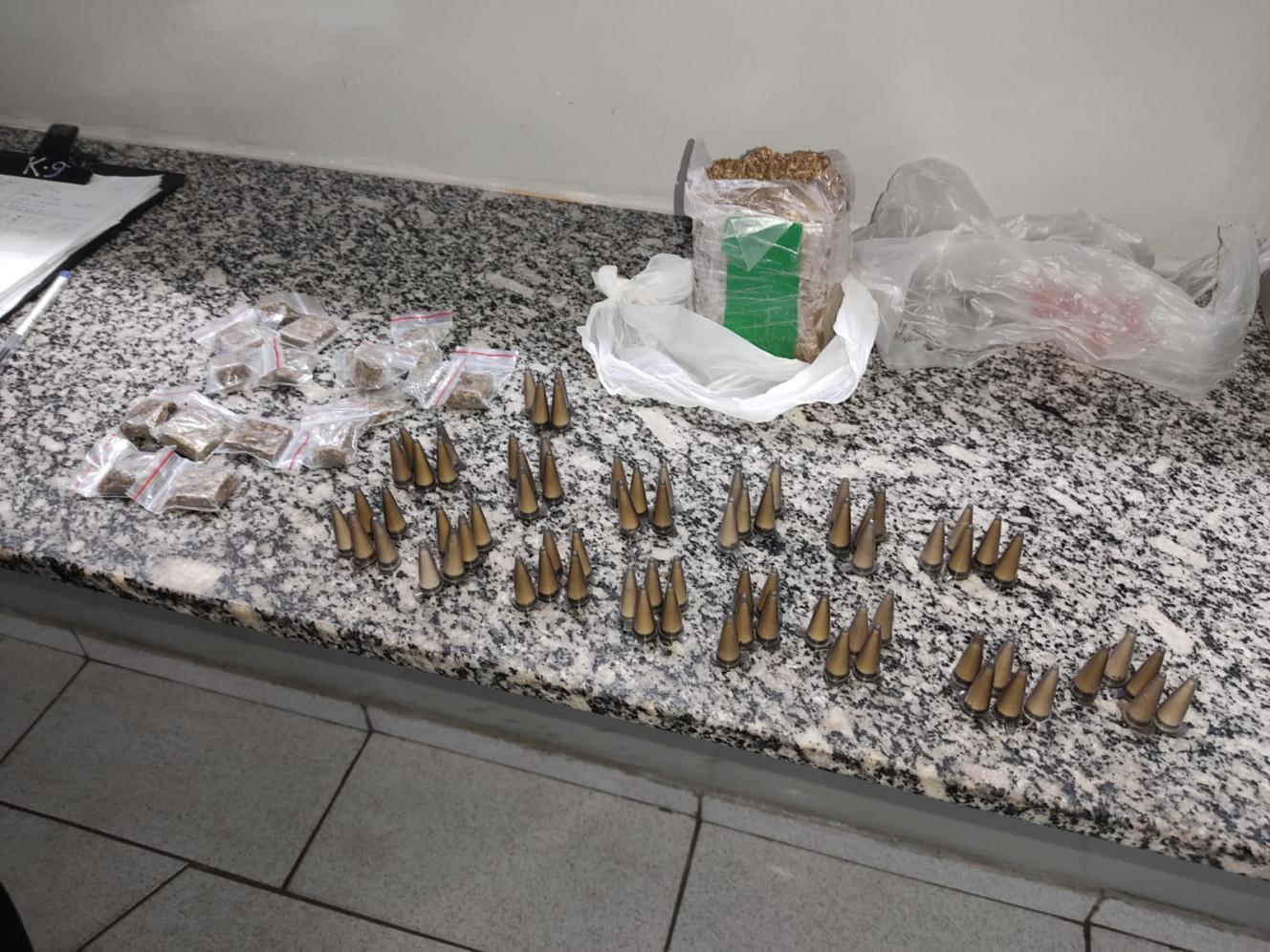 Cadela Safira fareja entorpecentes em área verde do Cecap em Limeira