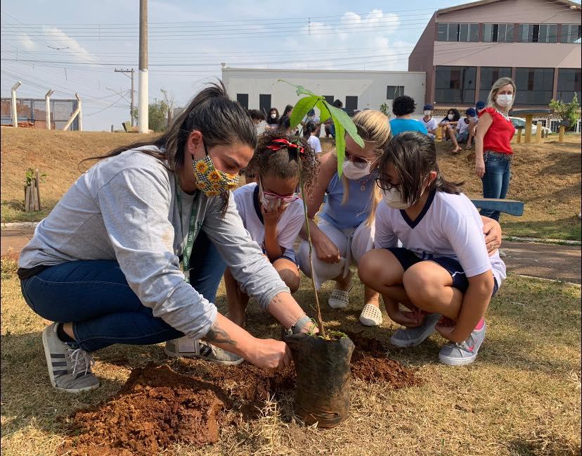 Dia da Árvore: A esperança irá germinar como uma planta!