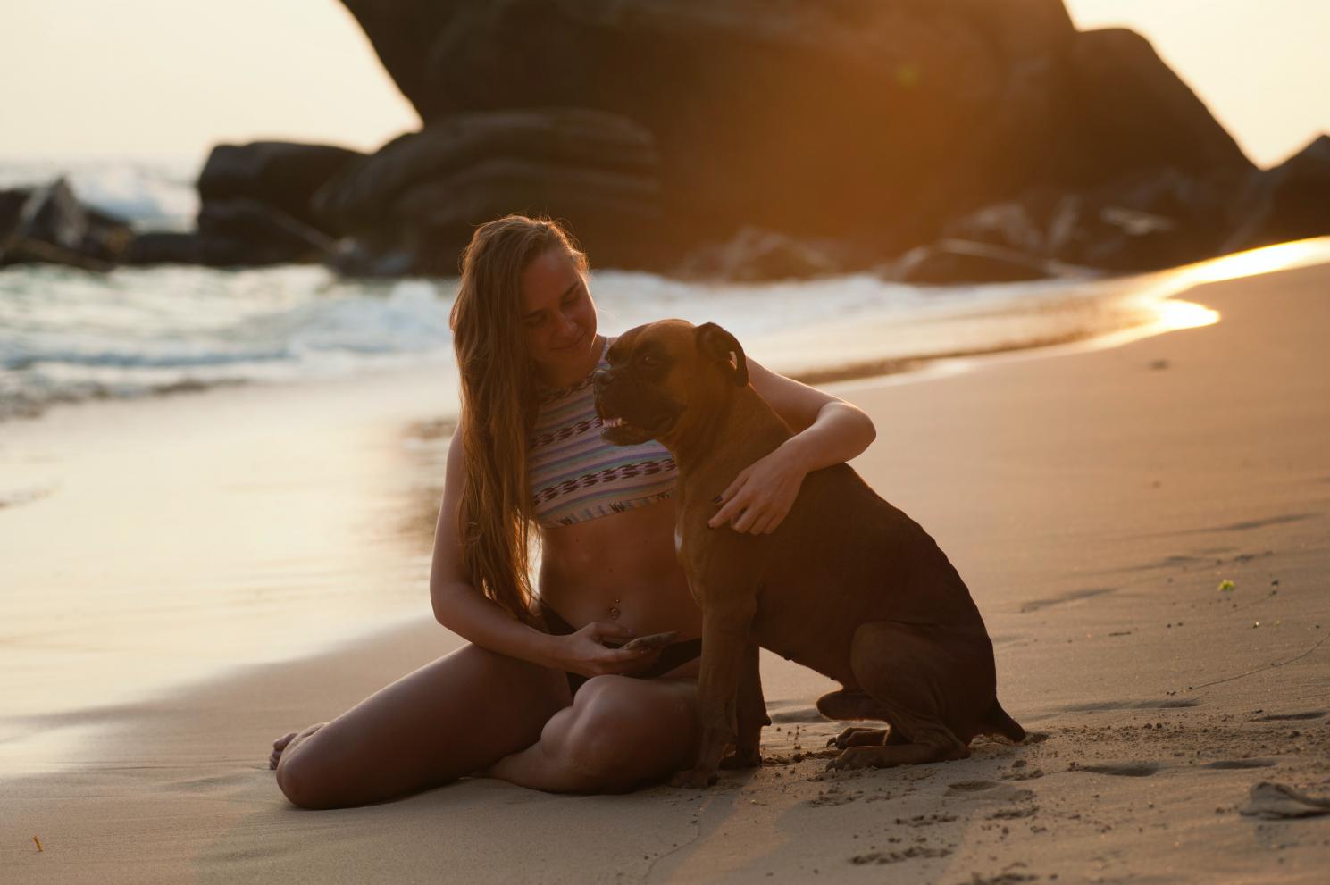 Cães na faixa de areia: como proteger e preparar o seu animal para curtir a praia