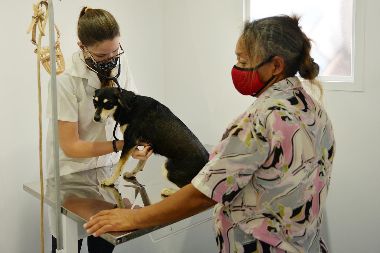 Prefeitura de Limeira inicia programa de atendimento veterinário nos bairros