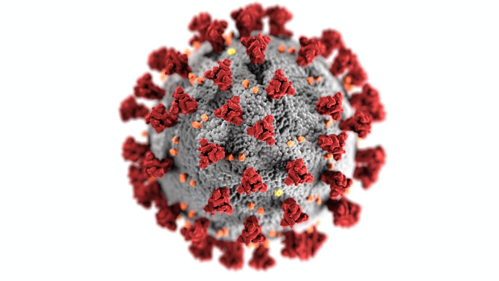 Limeira investiga um caso suspeito da variante ômicron; mulher esteve na África do Sul