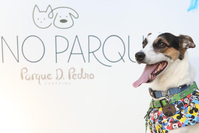 Parque D. Pedro Shopping realiza 2ª Edição do “Pet no Parque”